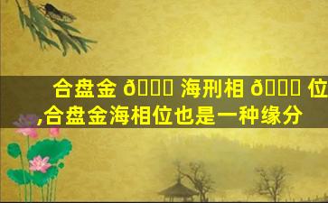 合盘金 🐅 海刑相 💐 位,合盘金海相位也是一种缘分